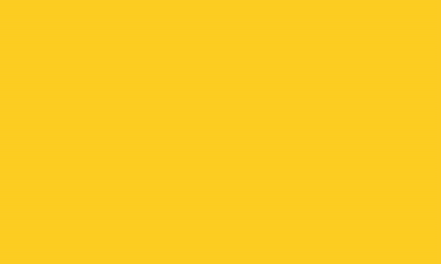 From Maricao, Puerto Rico to New York City: A Conversation with Sam Sepulveda, Co-Founder of 787 Coffee