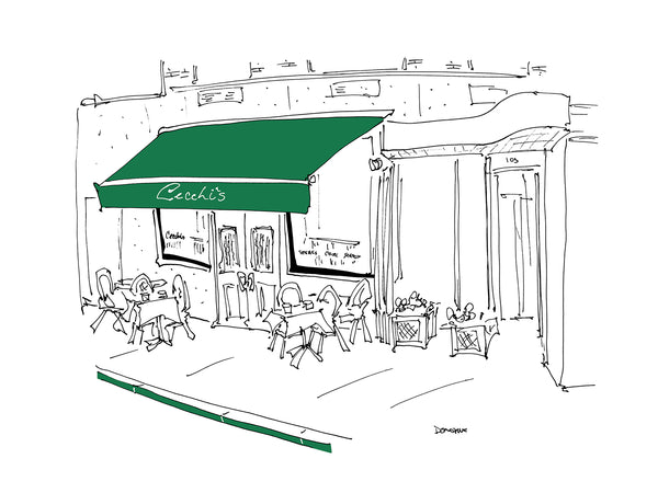 Cecchi's drawing