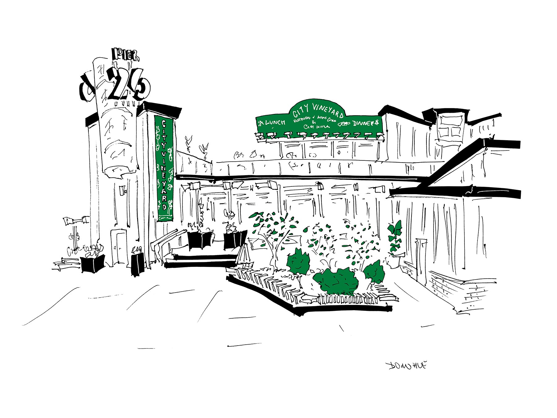 City Vineyard