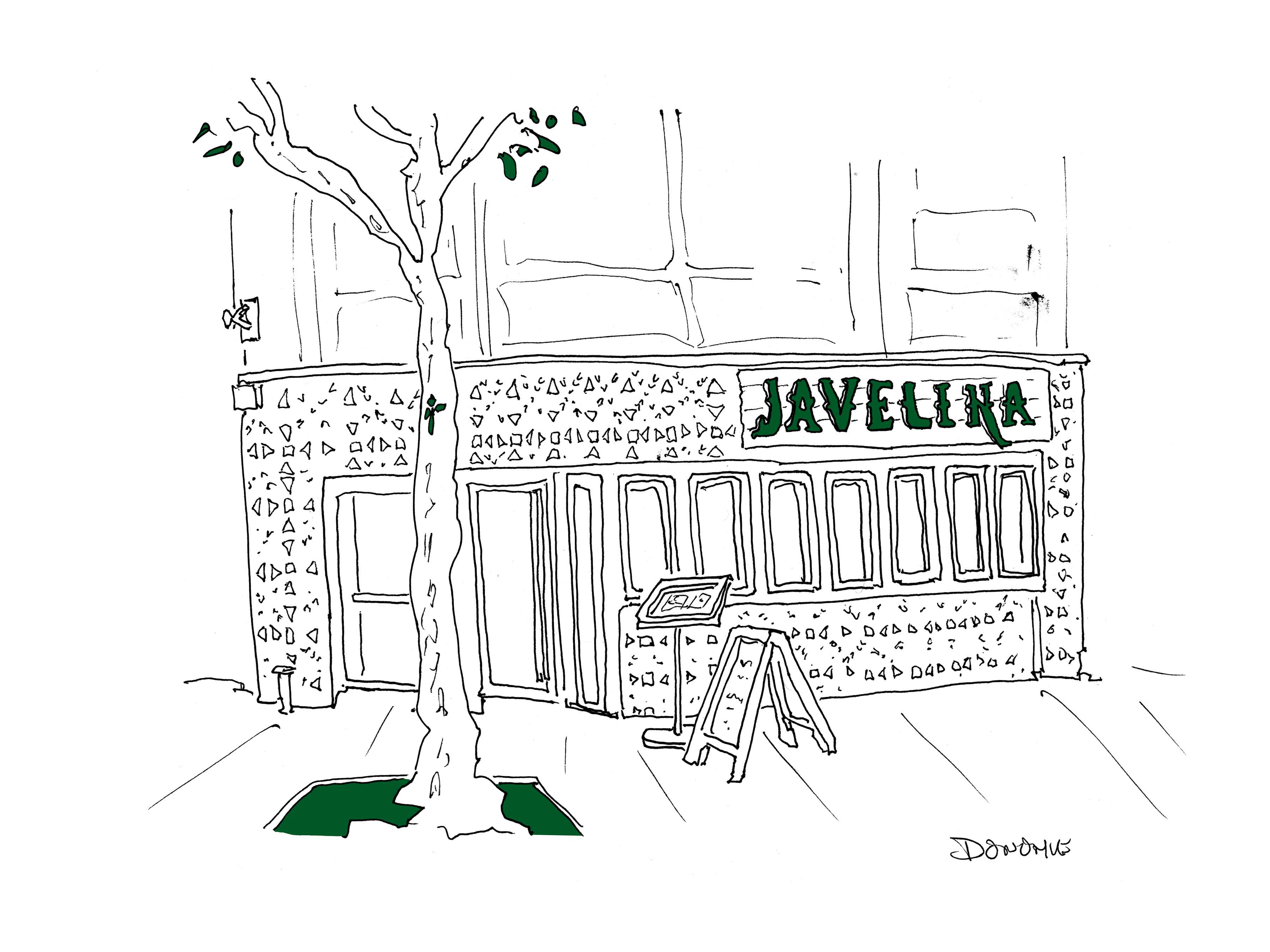 Javelina