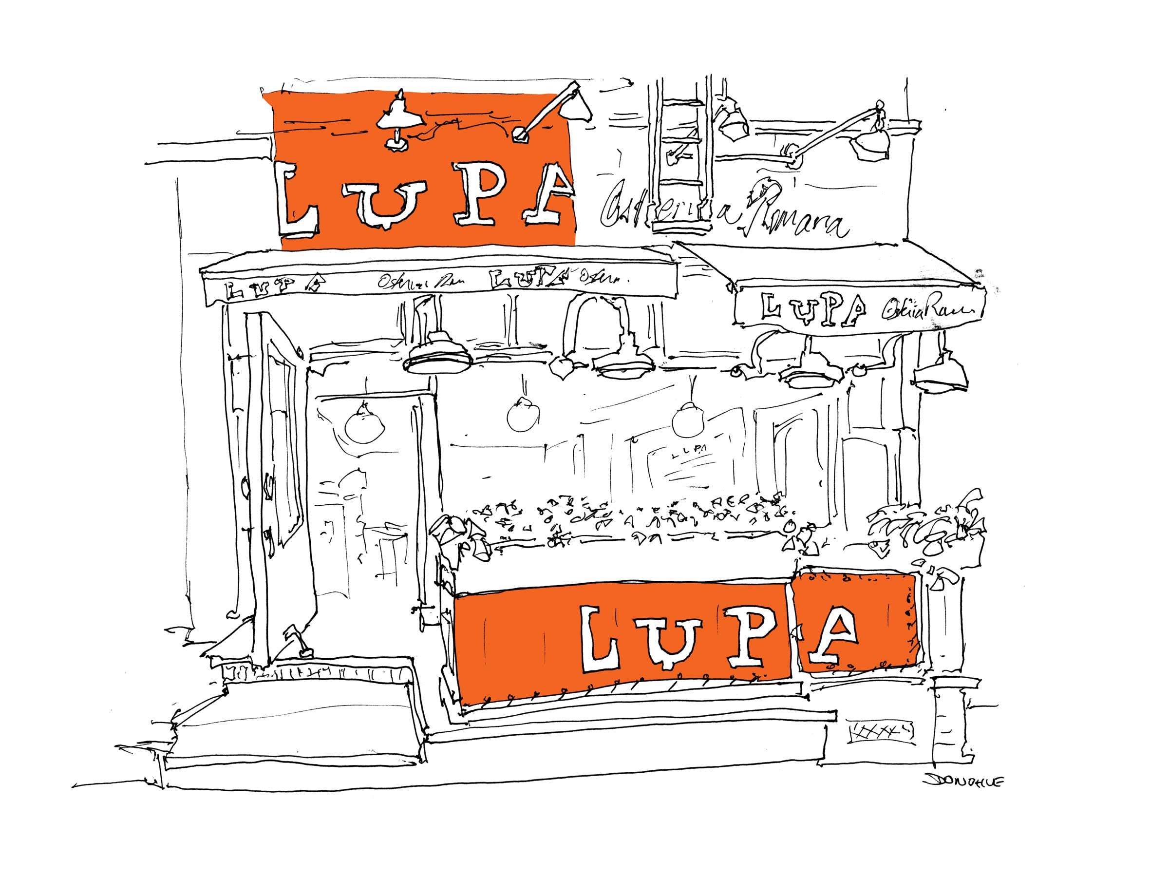 Lupa
